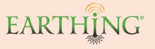 Earthing Diagram